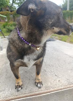 Намиста для собак