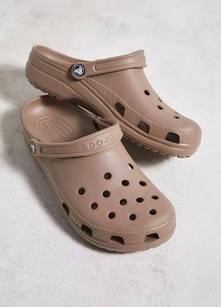 Чоловічі крокси  класік клог латте crocs classic clog latte