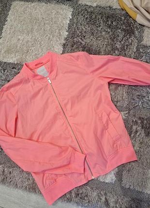 Вітровка літня