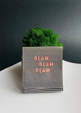 Гаманець  шкіра портмоне  принт