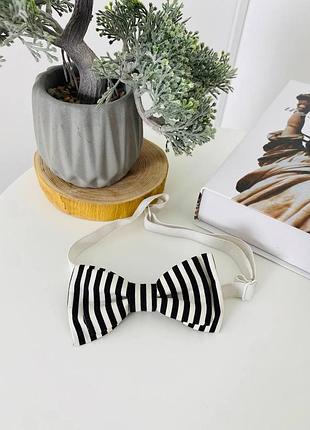 5 бабочка ,галстук - бабочка двухслойная италия ткань полосатая