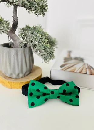 Бабочка ,галстук - бабочка двухслойная италия ткань зеленая