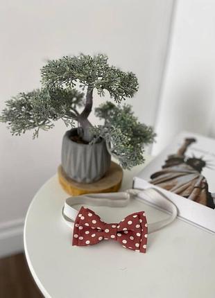 Бабочка ,галстук - бабочка двухслойная италия ткань бежевая в горох