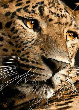 Картина за номерами strateg преміум далекосхідний  леопард з лаком та з рівнем розміром 40х50 см (va-2763)