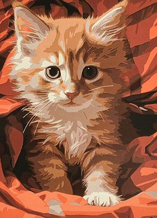 Картина за номерами strateg преміум сонячний малюк з лаком та рівнем розміром 40х50 см (va-4667)