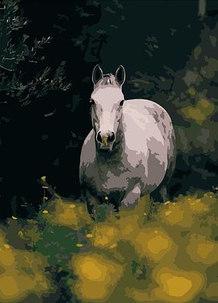 Картина за номерами strateg преміум кінь серед квітів розміром 40х50 см (dy105)