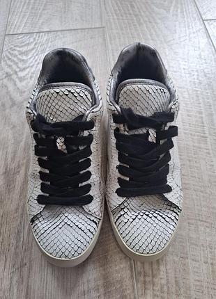 Кроссовки zadig &voltaire