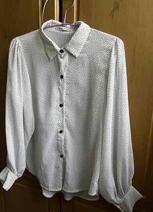 Напівпрозора блузка в горошок