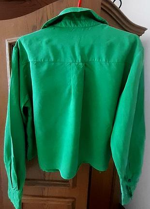 Сорочка зелена 3