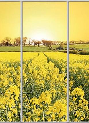 Шкаф купе luxe studio стандарт-1 фотопечать природа-43 2400x2100x450 трехдверный  (49421)