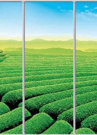 Шафа-купе luxe studio стандарт-1 фотодрук природа-72 2400x2100x450 тридверна (49450)