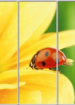 Шафа-купе luxe studio стандарт-1 фотодрук тварини-30 2400x2100x450 тридверна (49192)