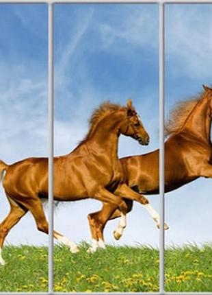 Шкаф купе luxe studio стандарт-1 фотопечать животные-64 2400x2200x450 трехдверный  (50333)