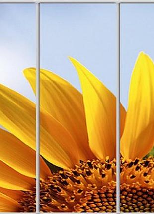 Шафа-купе luxe studio стандарт-1 фотодрук природа-79 2400x2300x450 тридверна (51592)