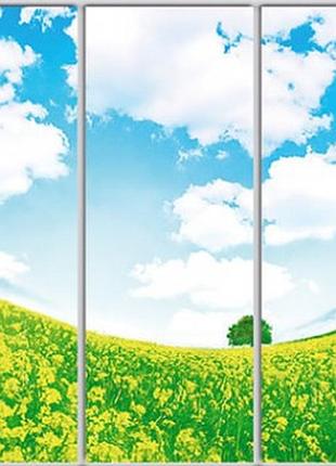 Шкаф купе luxe studio стандарт-1 фотопечать природа-8 2400x2300x450 трехдверный  (51521)