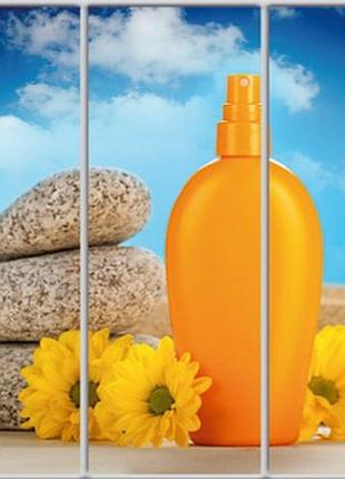 Шафа-купе luxe studio стандарт-1 фотодрукунок краси-24 2400x2100x450 тридверна (49736)