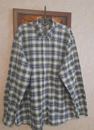 Мужская рубашка коттон levi's strauss итальялия