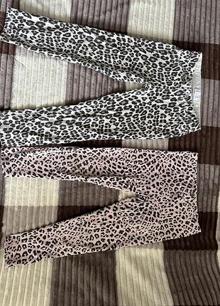 Леопардові лосини для дівчинки
