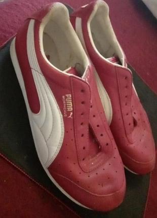 Яскраві шкіряні кросівки футзалкі кеди на 38 розмір