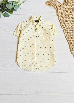 🌱сорочка next на 3/4 р ціна -120 г 🌱д-39 см ширина-33 см