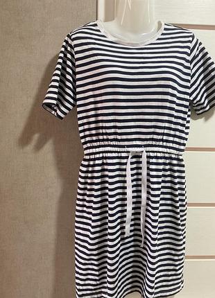 Сукня трикотаж м