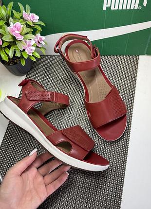 Оригінальні босоніжки на липучці  clarks