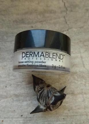 Розсипчаста пудра dermablend