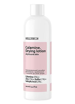Подсушивающий лосьон для жирной, проблемной и склонной к акне кожи hollyskin calamine. drying lotion 100мл