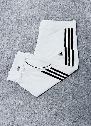 Спортивные трикотажные шорты adidas