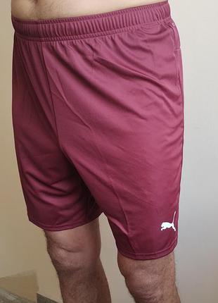 Нові чоловічі спортивні футбольні шорти puma teamgoal shorts