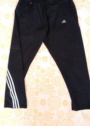 Бриджи эластиковые размер 46