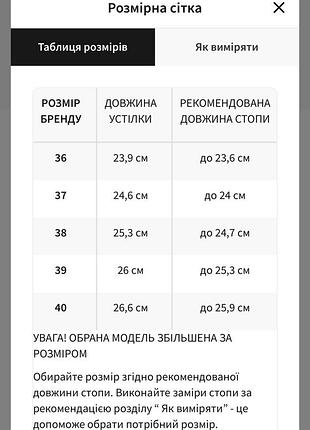 Кеди  estro2 фото