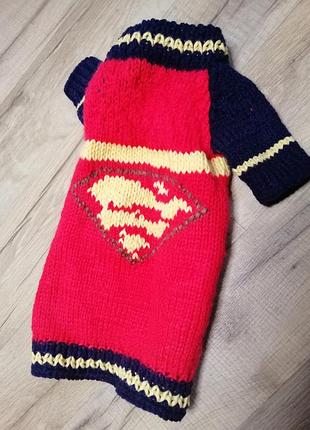 Кардиган для кота породы сфинкс