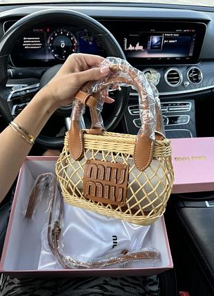 Соломʼяна плетена міні сумка кошик m