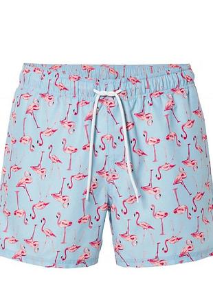 Чоловічі шорти