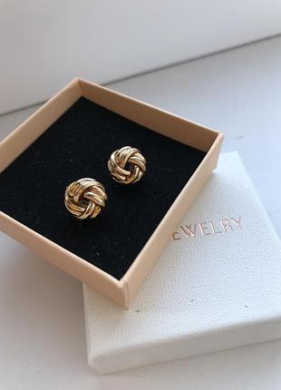 Сережки гвоздики