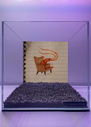 Аквариум для рыбок