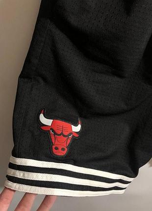 Шорти chicago bulls 2