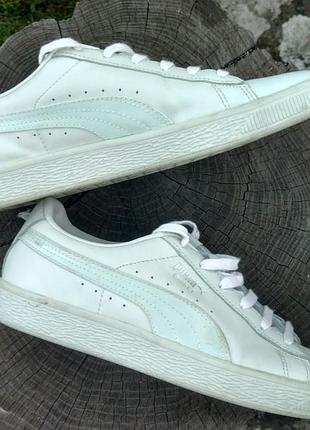 Кожаные кеды puma basket classic