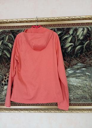 Олимпийка  the nortn face 4