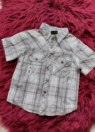 💙💜♥️ чудова теніска шведка сорочка