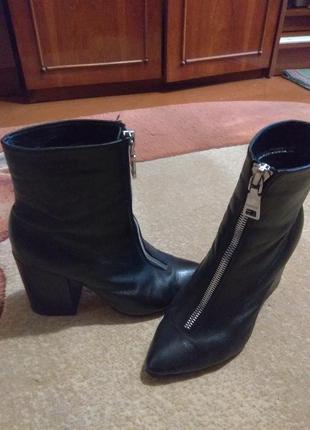 Полусапожки, ботінки, черевики