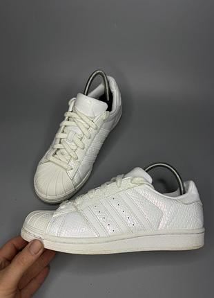 Жіночі кросівки adidas superstar