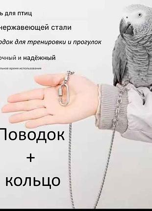 Поводок с кольцом на лапку из нержавеющей стали для птиц попугая кореллы ворона голубя ара неразлучн
