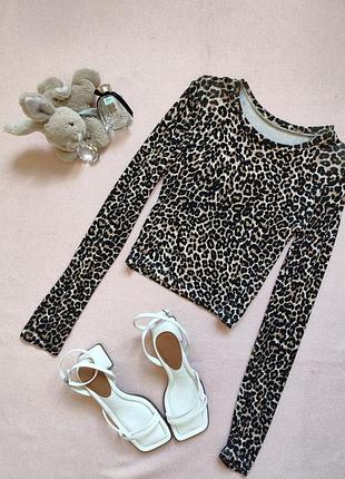 Лонгслив леопардовый принт zara р 36 44 s укороченный с рукавом