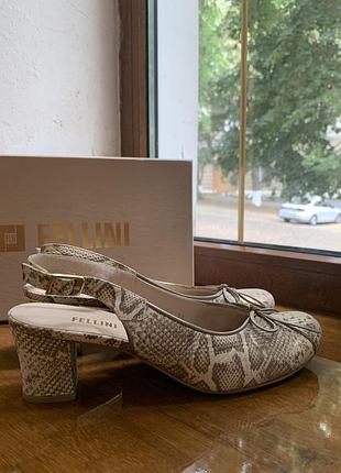 Жіночі туфлі fellini