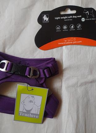 Шлея для маленьких собак xxs