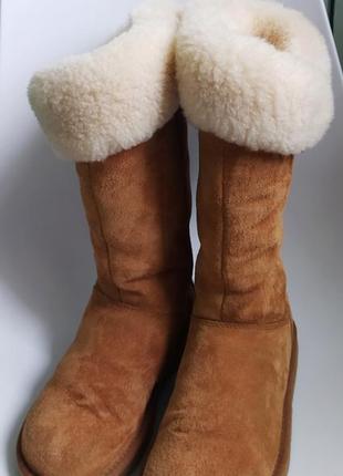 Високі жіночі уггі ugg australia plumdale boots3 фото