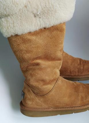 Высокие женские угги ugg australia plumdale boots4 фото