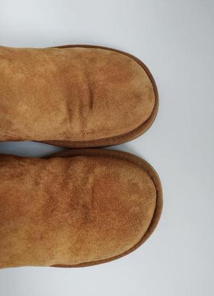 Високі жіночі уггі ugg australia plumdale boots5 фото